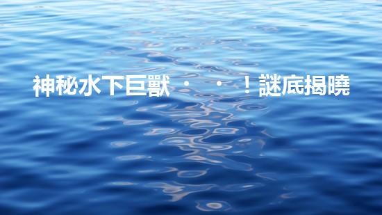 神秘水下巨獸！謎底揭曉，自動抽沙機器人能否拯救海洋？